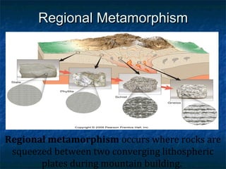 Regional Metamorphism

Regional metamorphism occurs where rocks are
squeezed between two converging lithospheric
plates during mountain building.

 