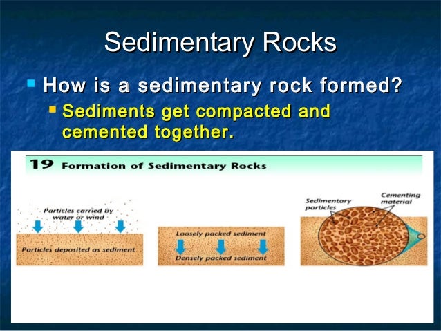 minerals and rocks for typing sedimentary rocks form