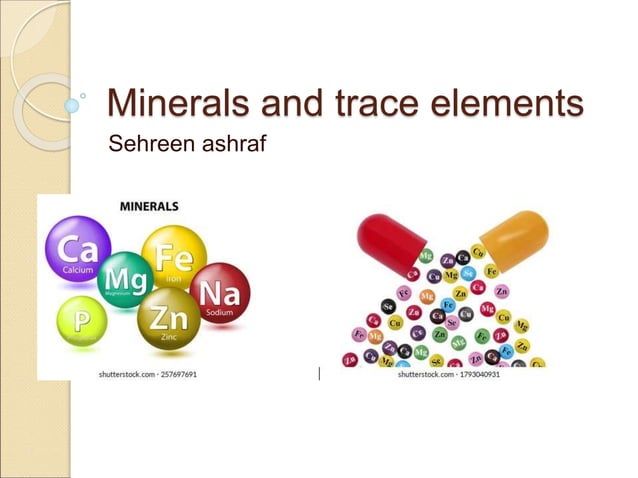 Which Of The Following Is Considered A Trace Mineral Minerals and trace elements.ppt