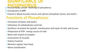 SIGNIFICANCE OF
PHOSPHORUS:
Human Body contain 1Ib(454g) of phosphorus
Component of ATP
Found in blood,muscles,nerves and calcium phosphate-bones and teeth's
Functions of Phosphorus:
Formation of bones and teeth's
Utilization of carbohydrates and Fats
Synthesis of protein for growth, maintenance and repair of cells and tissues
Production of ATP- energy source of cells
Work with vitamin B complex
Contraction of muscles
Kidney Function
Maintain regular heart beat
Nerve coordination
 