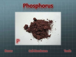Phosphorus




Bones    Cell Membrane   Teeth
 