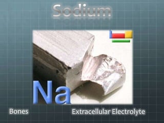 Bones   Extracellular Electrolyte
 