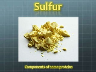 Sulfur




Components of some proteins
 