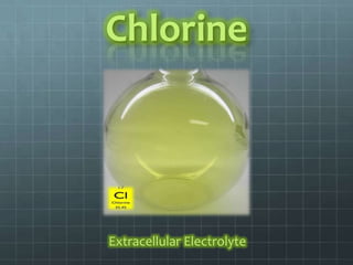 Chlorine




Extracellular Electrolyte
 
