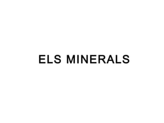 ELS MINERALS
 