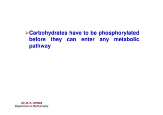 Carbohydrates have to be phosphorylated
before they can enter any metabolic
pathway
Dr. M. K. Ahmad
Department of Biochemistry
 