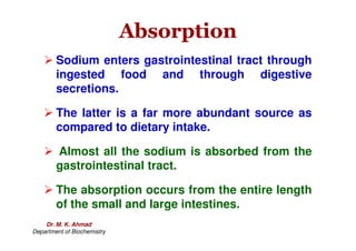 Absorption
Absorption
 Sodium enters gastrointestinal tract through
ingested food and through digestive
secretions.
 The latter is a far more abundant source as
compared to dietary intake.
compared to dietary intake.
 Almost all the sodium is absorbed from the
gastrointestinal tract.
 The absorption occurs from the entire length
of the small and large intestines.
Dr. M. K. Ahmad
Department of Biochemistry
 