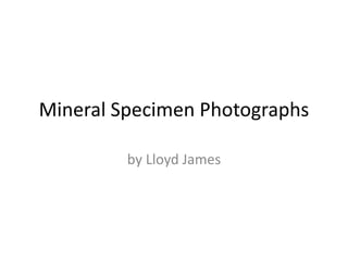 Mineral Specimen Photographs

         by Lloyd James
 