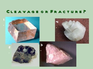 Cleavage or Fracture? 1. 4. 3. 2. 