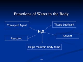 Functions of Water in the Body H 2 O Transport Agent Reactant Tissue Lubricant Helps maintain body temp Solvent 