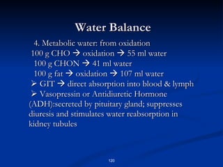 Water Balance 4. Metabolic water: from oxidation    100 g CHO    oxidation    55 ml water 100 g CHON    41 ml water 100 g fat    oxidation    107 ml water      GIT    direct absorption into blood & lymph      Vasopressin or Antidiuretic Hormone (ADH):secreted by pituitary gland; suppresses diuresis and stimulates water reabsorption in  kidney tubules 
