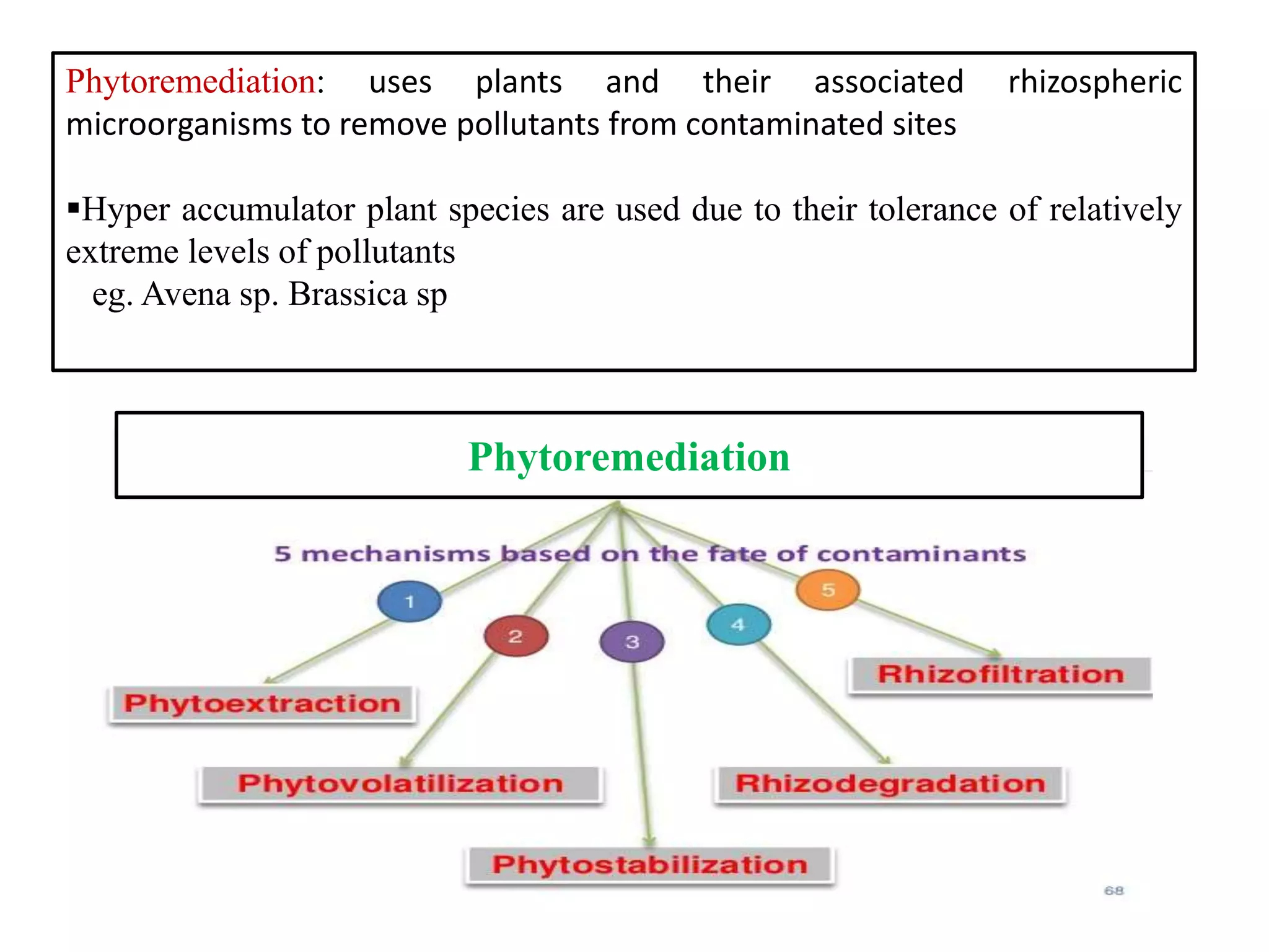 Phytoremediation: uses plants and their associated rhizospheric
microorganisms to remove pollutants from contaminated sites
Hyper accumulator plant species are used due to their tolerance of relatively
extreme levels of pollutants
eg. Avena sp. Brassica sp
Phytoremediation
 