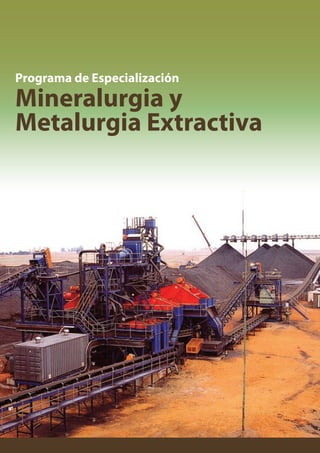 Programa de Especialización

Mineralurgia y
Metalurgia Extractiva

 