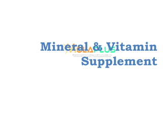 Mineral & Vitamin
Supplement
 