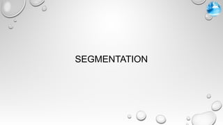 SEGMENTATION
 