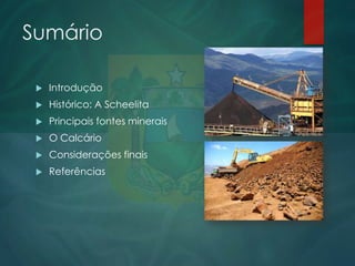 Sumário


Introdução



Histórico: A Scheelita



Principais fontes minerais



O Calcário



Considerações finais



Referências

 