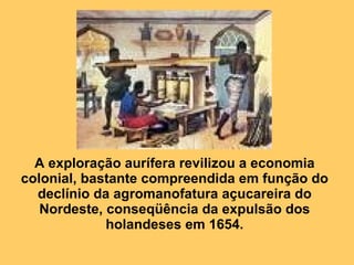 A exploração aurífera revilizou a economia colonial, bastante compreendida em função do declínio da agromanofatura açucareira do Nordeste, conseqüência da expulsão dos holandeses em 1654. 