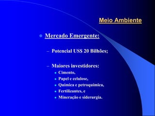 Meio Ambiente

   Mercado Emergente:

    – Potencial US$ 20 Bilhões;


    – Maiores investidores:
          Cimento,
          Papel e celulose,
          Química e petroquímica,
          Fertilizantes, e
          Mineração e siderurgia.
 