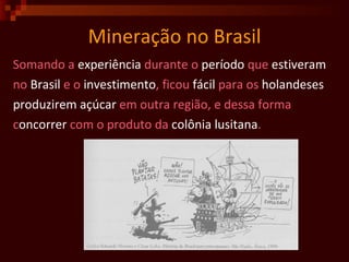Mineração no Brasil Somando a  experiência  durante o  período  que  estiveram no  Brasil  e o  investimento , ficou  fácil  para os  holandeses produzirem   açúcar  em outra região, e dessa forma  c oncorrer  com o produto da  colônia lusitana .  