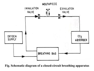 Fig. Schematic diagram of a closed-circuit breathing apparatus
 