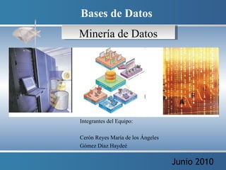 Minería de Datos Integrantes del Equipo: Cerón Reyes María de los Ángeles Gómez Díaz Haydeé Bases de Datos Junio 2010 