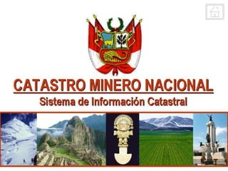 Henry Luna Córdova   Minería Peruana   1º de febrero 2008
 