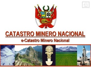 Henry Luna Córdova   Minería Peruana   1º de febrero 2008
 