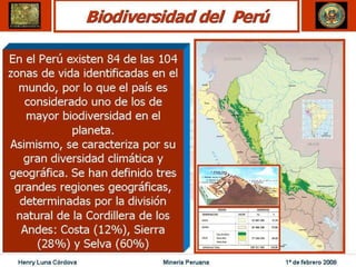 Henry Luna Córdova   Minería Peruana   1º de febrero 2008
 
