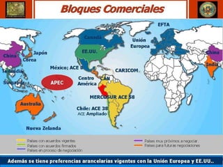 Henry Luna Córdova   Minería Peruana   1º de febrero 2008
 