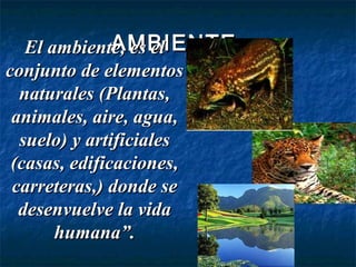 AMBIENTEAMBIENTEEl ambiente, es elEl ambiente, es el
conjunto de elementosconjunto de elementos
naturales (Plantas,naturales (Plantas,
animales, aire, agua,animales, aire, agua,
suelo) y artificialessuelo) y artificiales
(casas, edificaciones,(casas, edificaciones,
carreteras,) donde secarreteras,) donde se
desenvuelve la vidadesenvuelve la vida
humana”.humana”.
 
