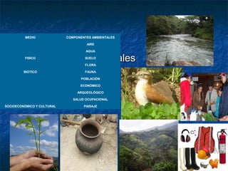 Componentes AmbientalesComponentes Ambientales
MEDIO COMPONENTES AMBIENTALES
FISICO
AIRE
AGUA
SUELO
BIOTICO
FLORA
FAUNA
SOCIOECONÓMICO Y CULTURAL
POBLACIÓN
ECONÓMICO
ARQUEOLÓGICO
SALUD OCUPACIONAL
PAISAJE
 