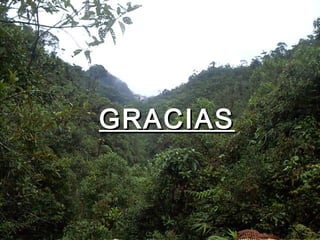 GRACIASGRACIAS
 