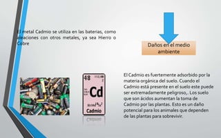 El metal Cadmio se utiliza en las baterias, como
aleaciones con otros metales, ya sea Hierro o
Cobre Daños en el medio
ambiente
El Cadmio es fuertemente adsorbido por la
materia orgánica del suelo. Cuando el
Cadmio está presente en el suelo este puede
ser extremadamente peligroso,. Los suelo
que son ácidos aumentan la toma de
Cadmio por las plantas. Esto es un daño
potencial para los animales que dependen
de las plantas para sobrevivir.
 
