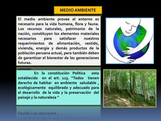 MINERIA Y MEDIO AMBIENTE EN EL PERU .pptx