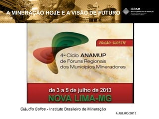 A MINERAÇÃO HOJE E A VISÃO DE FUTURO
Cláudia Salles - Instituto Brasileiro de Mineração
4/JULHO/2013
 