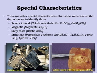 Special Characteristics
• There are other special characteristics that some minerals exhibit
that allow us to identify them
– Reacts to Acid [Calcite and Dolomite: CaCO3 & Ca(Mg)CO3]
– Magnetic [Magnetite: Fe3O4]
– Salty taste [Halite: NaCl]
– Striations [Plagioclase Feldspar: NaAlSi3O8 - CaAl2Si2O8, Pyrite -
FeS2, Quartz - SiO2]
Striations on Pyrite Calcite reacts with HCl and gives off CO2
 