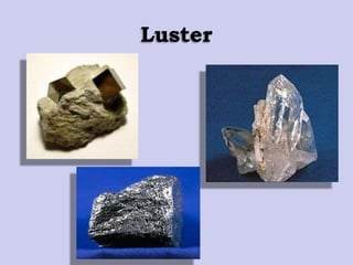 Luster
 