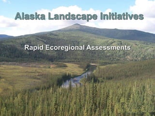 Rapid Ecoregional Assessment

 