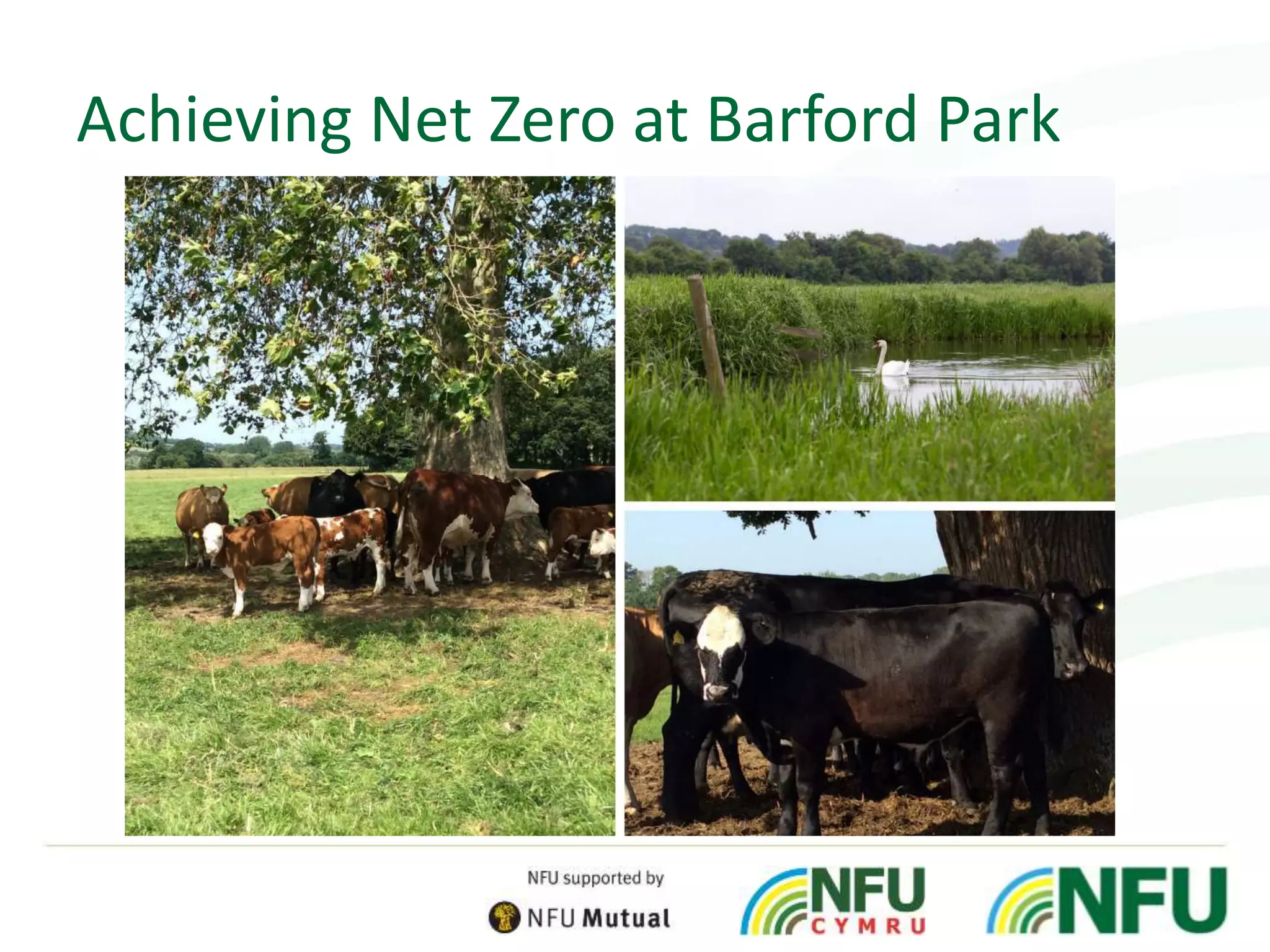 Achieving Net Zero at Barford Park
 