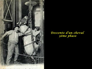 Descente d’un cheval  3éme phase 