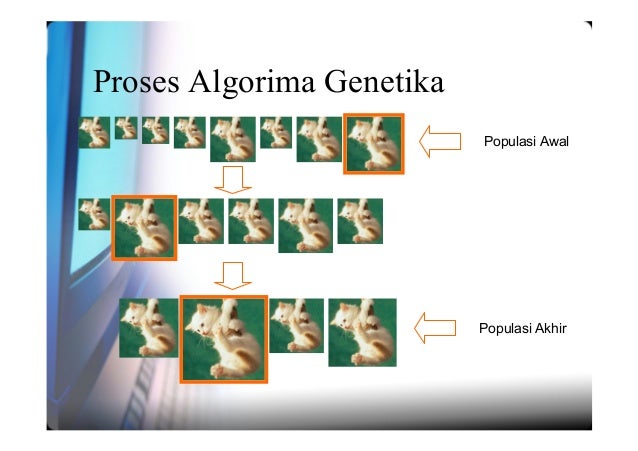 program algoritma genetika programs