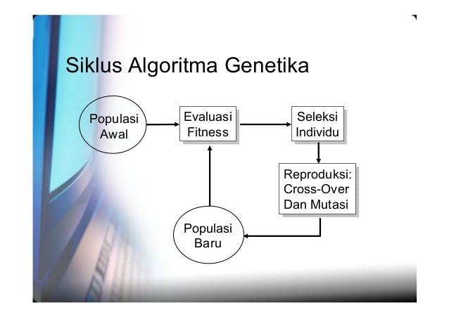 program algoritma genetika programs