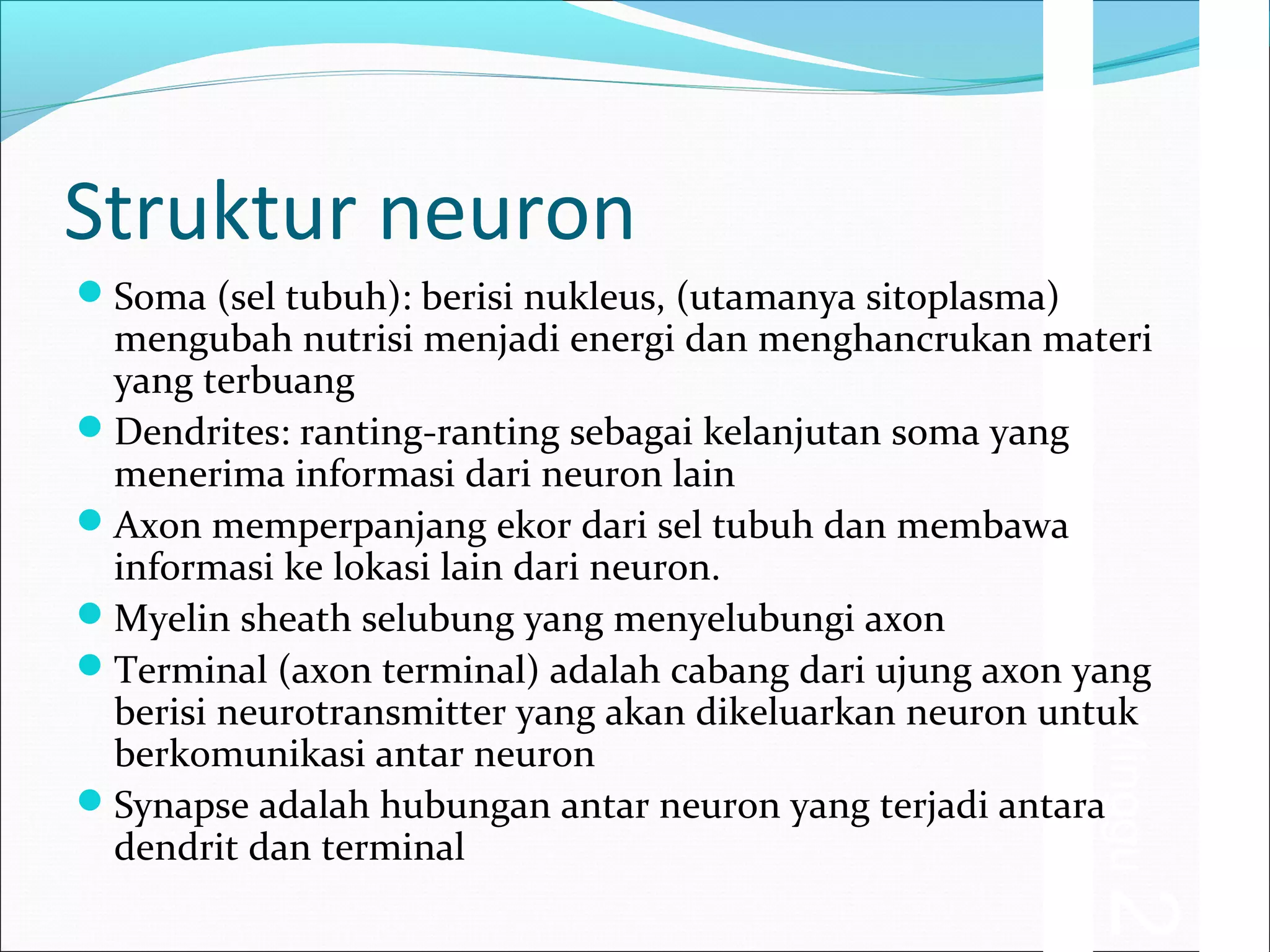 Minggu 2 struktur neuron | PPT
