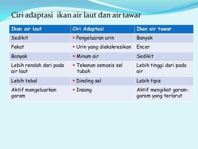  Adaptasi  Fisiologis Hewan  Air 