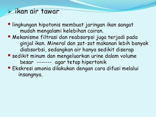 75 Mengapa Ikan Air Laut Banyak Minum Sedikit Mengeluarkan Urine Gratis Terbaik