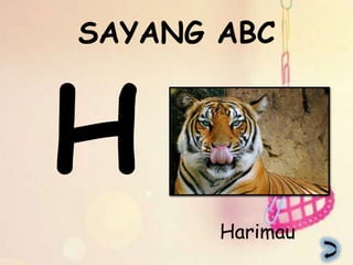 SAYANG ABC




       Harimau
 