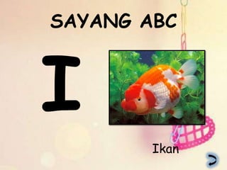 SAYANG ABC




        Ikan
 