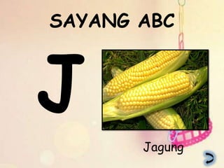 SAYANG ABC




       Jagung
 