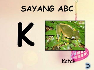 SAYANG ABC




       Katak
 