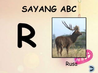 SAYANG ABC




        Rusa
 